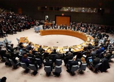 شورای امنیت درباره تجاوز ترکیه به سوریه نشست برگزار می نماید