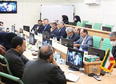 مسائل بیمه ای فعالان مالی کرمان آنالیز شد