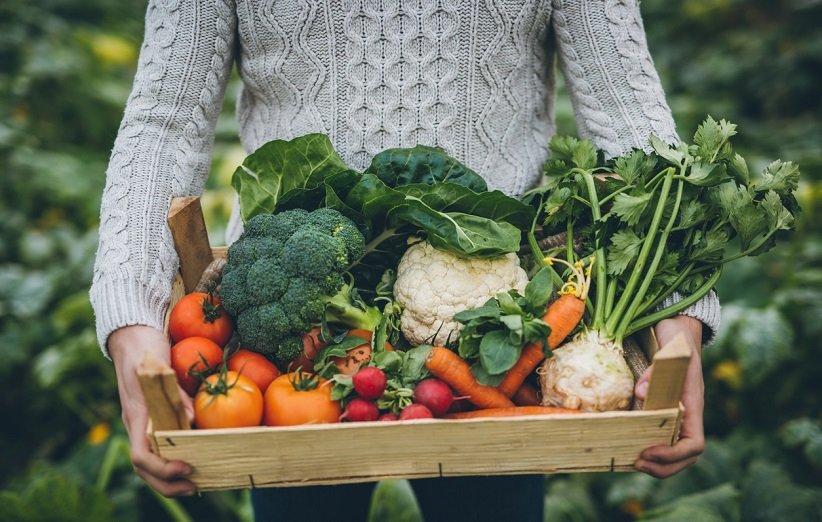 این سبزیجات سالم را بیشتر مصرف کنید