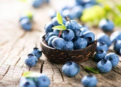 بلوبری؛ سالم ترین و مفید ترین میوه برای بدن